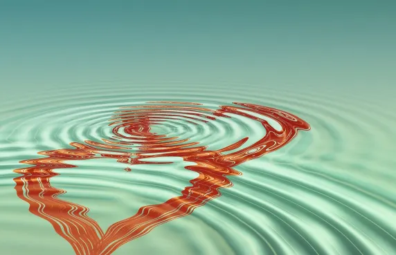 Cazino Black Label Cazinou Suport